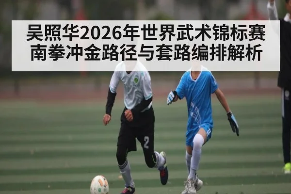 吴照华2026年世界武术锦标赛南拳冲金路径与套路编排解析